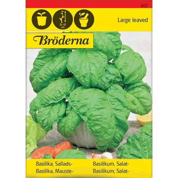 Basilikum 'Large leaved'