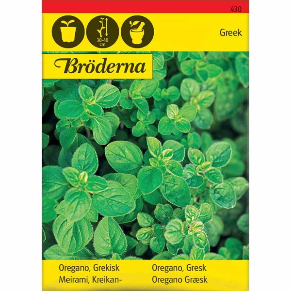 Griechischer Oregano