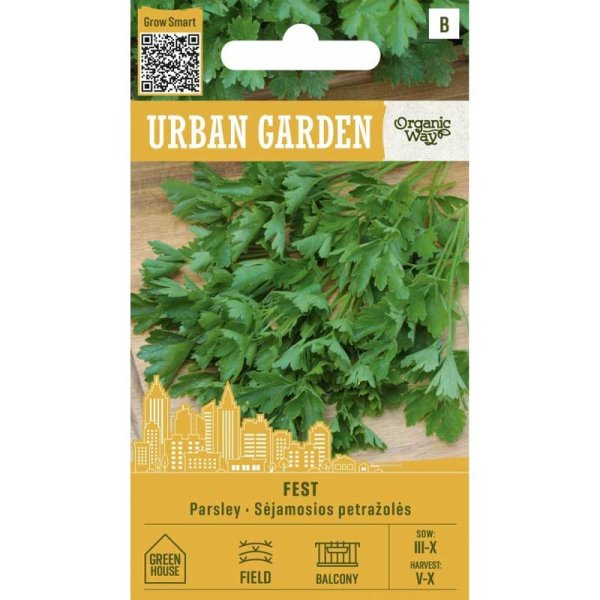 Petersilie ’Fest’