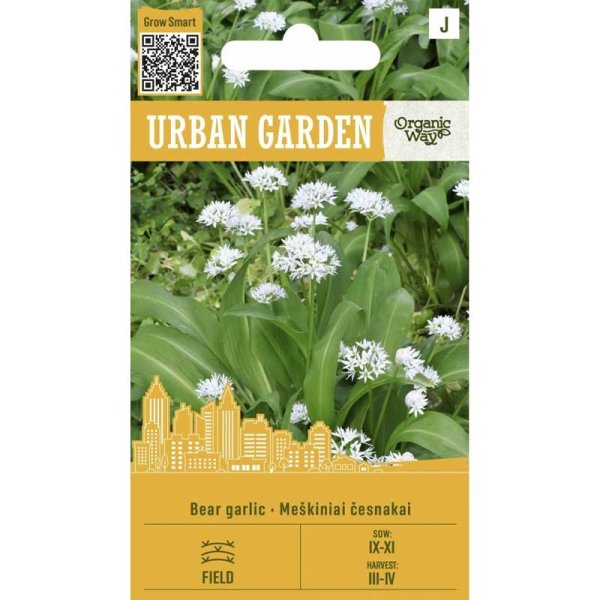 Bärlauch ’Bear Garlic’