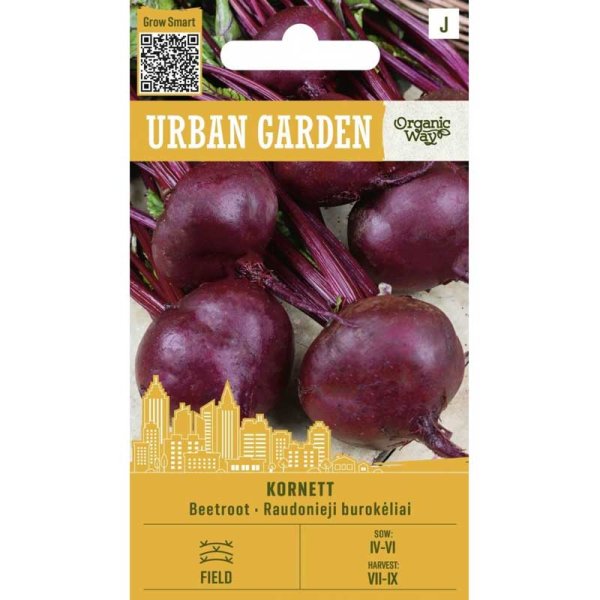 Rote Bete ’Kornett’