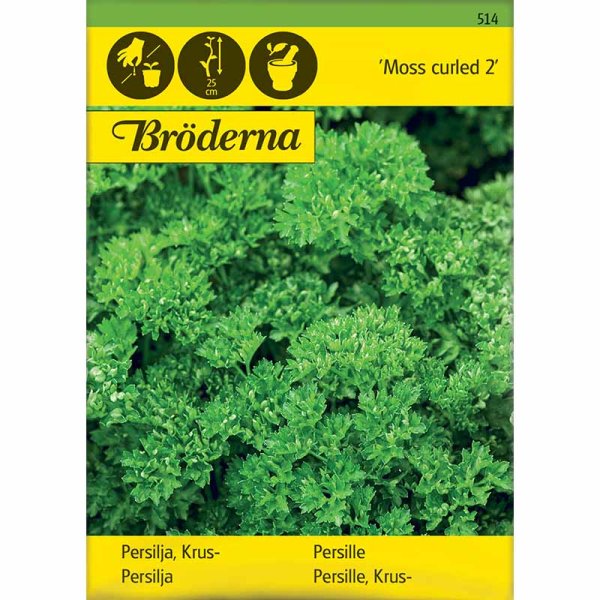 Blattpetersilie 'Moss curled 2'