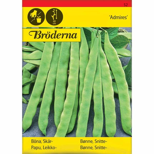 Schnittbohne 'Admires'
