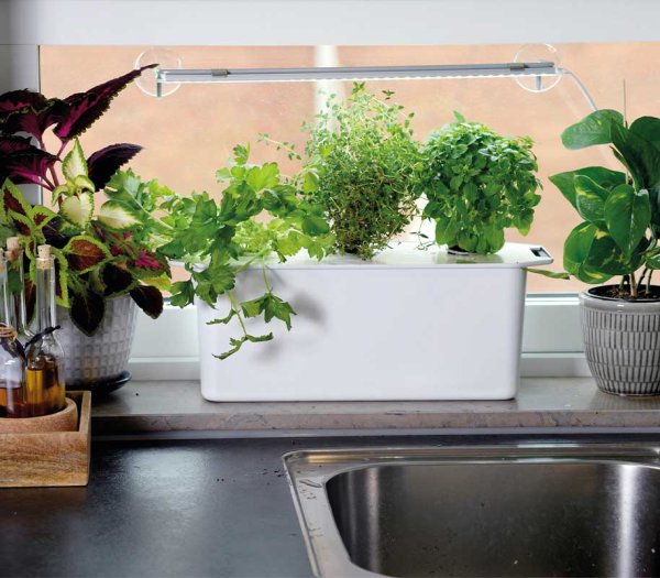 Hydroponisches System Harvy 3 weiß