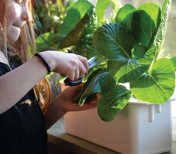 Hydroponisches System Harvy 3 weiß