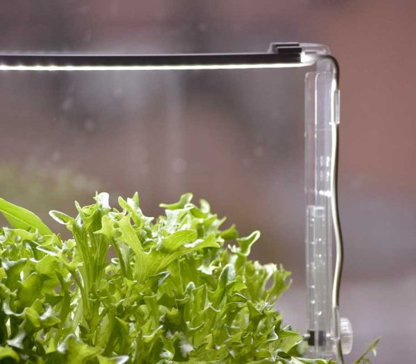 LED-Halterung für Harvy3