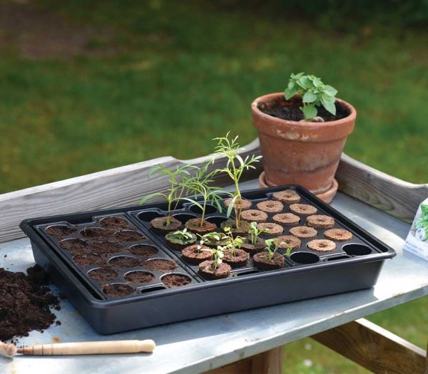 Anzuchtschale fest 23x37cm