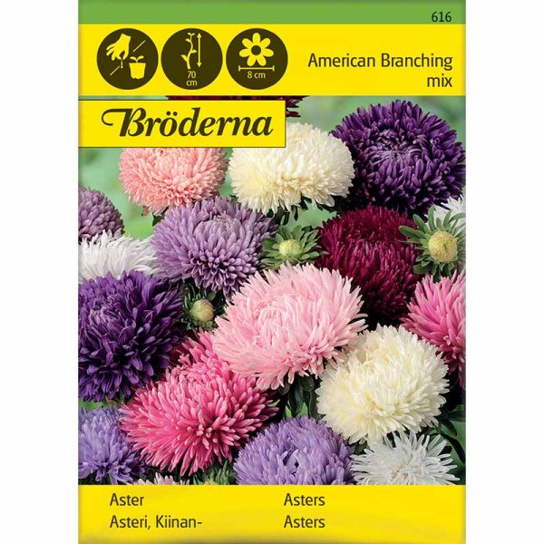 Amerikanische Buschmalve