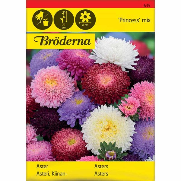 Aster 'Princess' Mischung