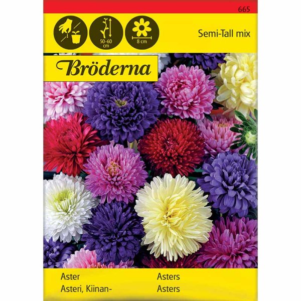 Doppelte Aster Mischung Bio