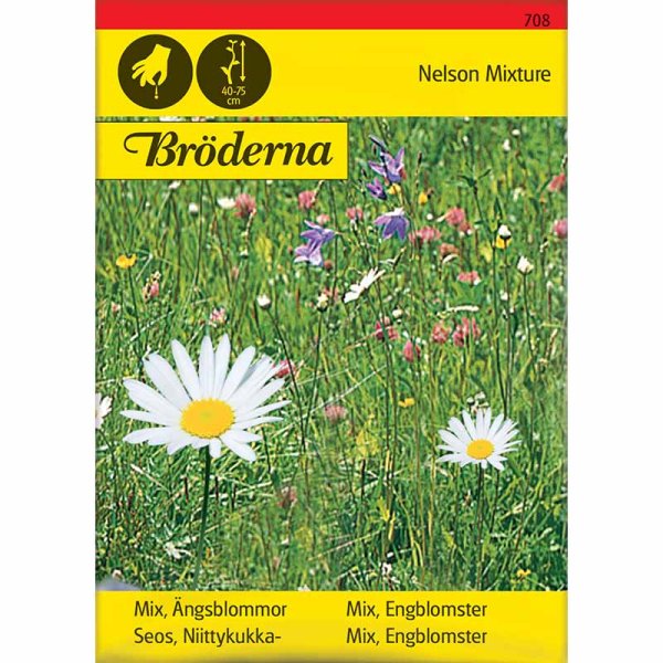 Wiesenblumen Mischung