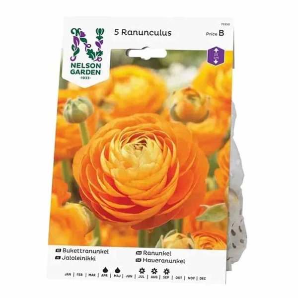 Strauß-Ranunkel Orange