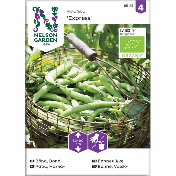 Broad Bean 'Express' Organic