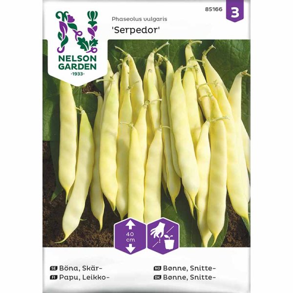 Schnittbohne 'Serpedor'