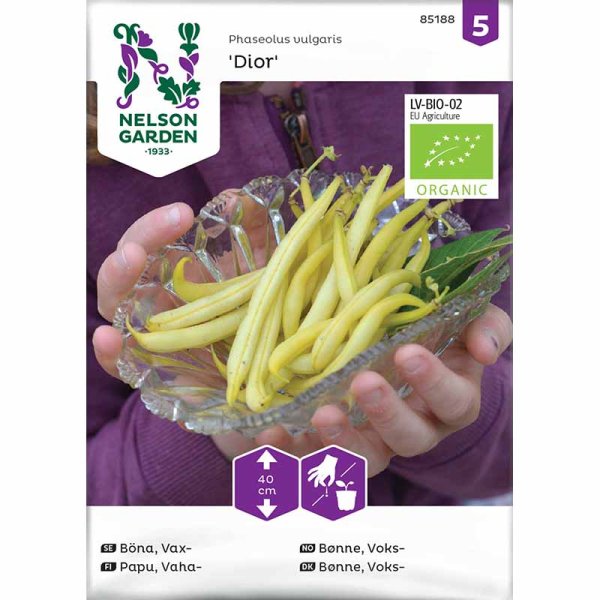 Wachsbohne 'Dior' Bio