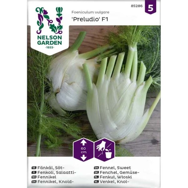 Fenchel 'Preludio' F1