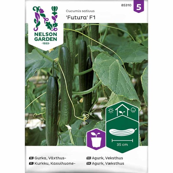 Cucumber 'Futura' F1