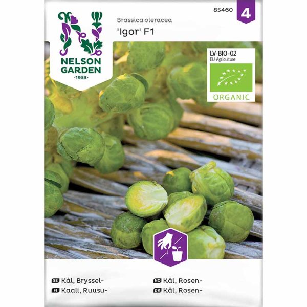 Rosenkohl 'Igor' F1, Organic