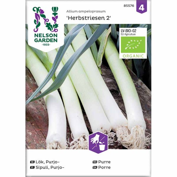Leek 'Herfstreuzen 3'