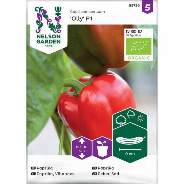 Paprika 'Olly'F1