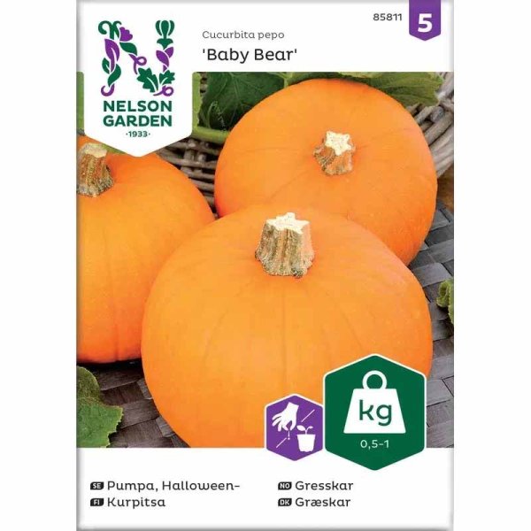Minikürbis 'Baby Bear'