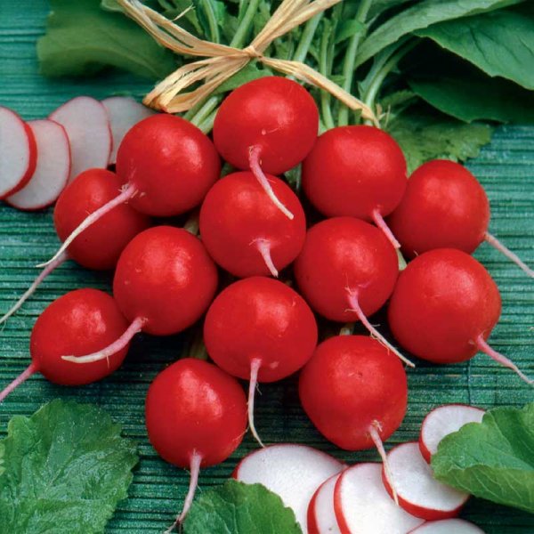 Radieschen 'Cherry Belle'