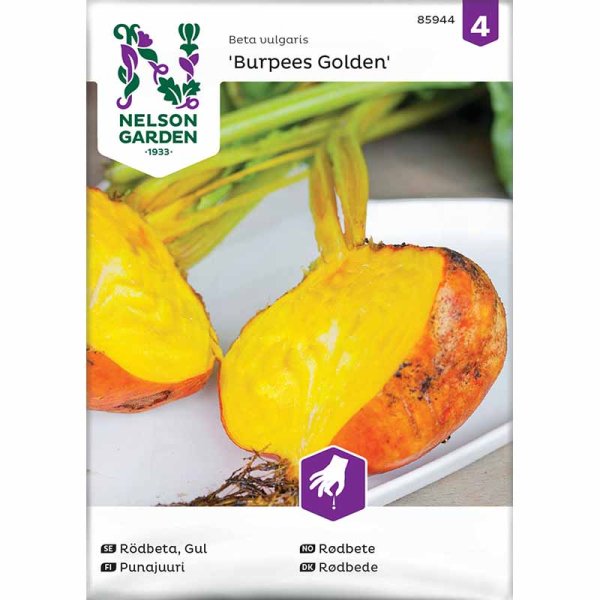 Rote Bete 'Burpees Golden'