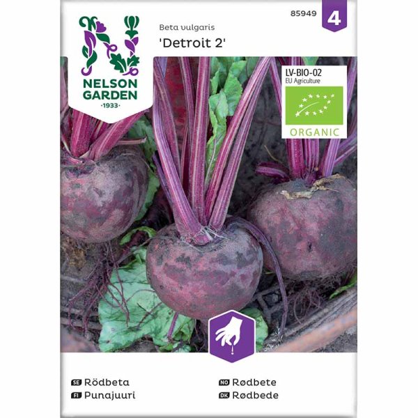 Rote Bete 'Detroit 2' Bio