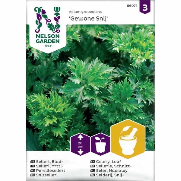 Blattsellerie 'Gewone Snij'