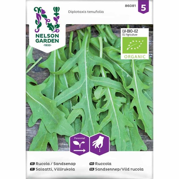 Rucola / Sand-Senf Bio