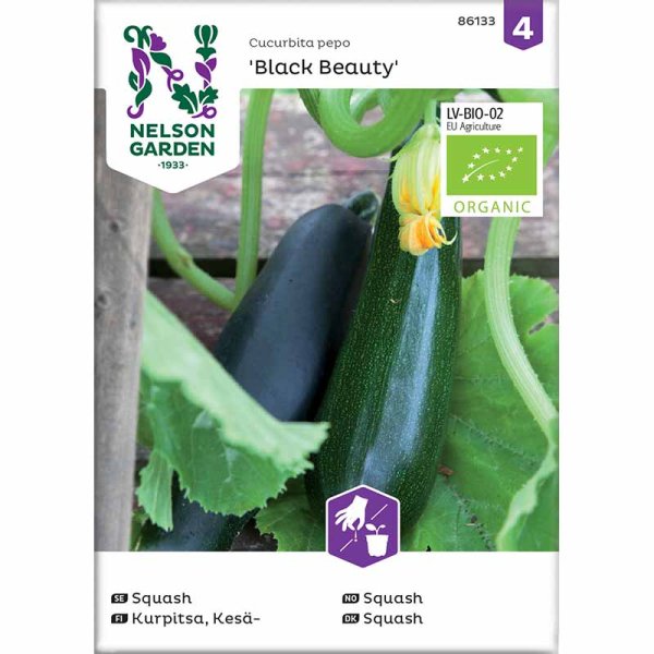 Zucchini / Sommersquash 'Black Beauty'