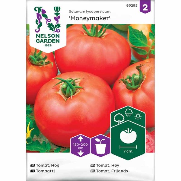 Freilandtomate 'Moneymaker'