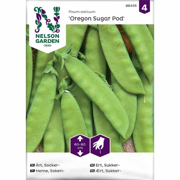 Zuckererbse 'Oregon Sugar Pod'