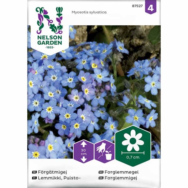 Vergissmeinnicht blau