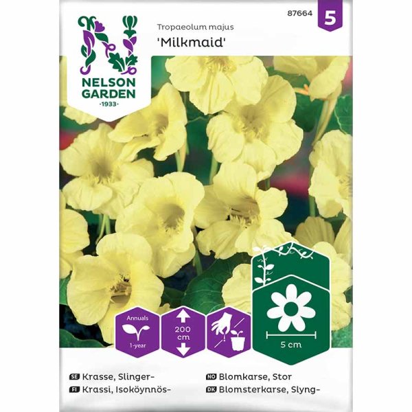 Rankende Kapuzinerkresse 'Milkmaid'