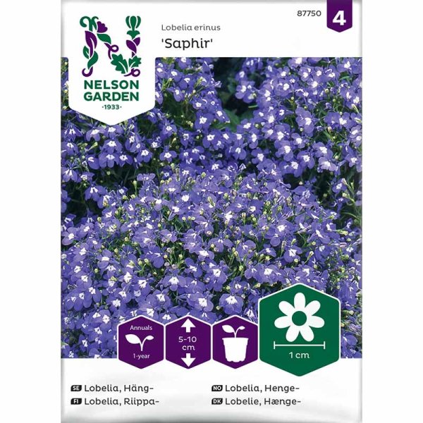 Hängelobelie 'Saphir' blau