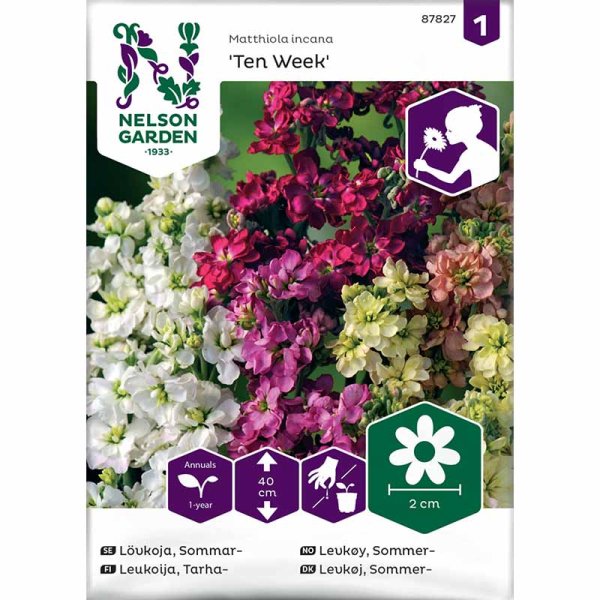 Sommerlevkoje 'Ten Week'