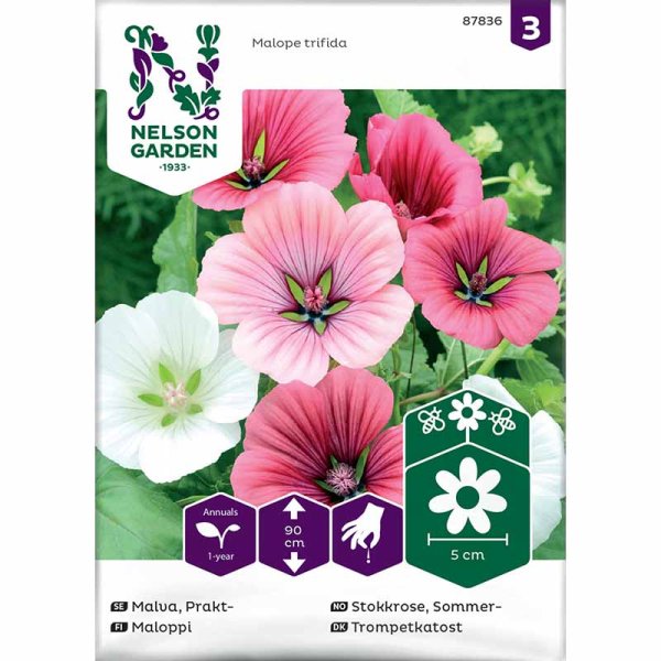 Prachtmalve blandade färger