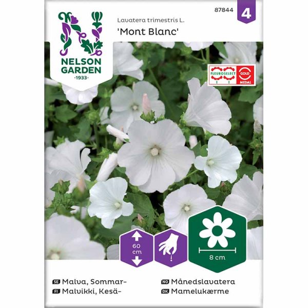 Sommermalve 'Mont Blanc'