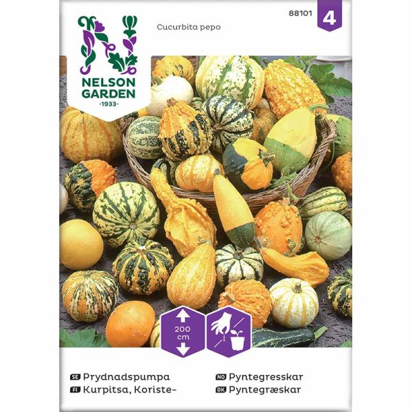 Zierkürbis, gemischte Sorten