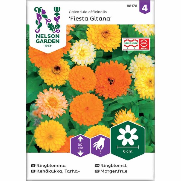 Ringelblume 'Fiesta Gitana'