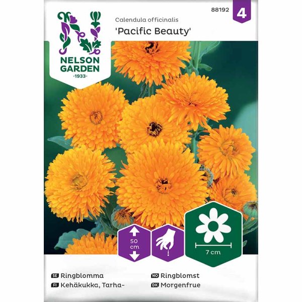 Ringelblume 'Pacific Beauty'