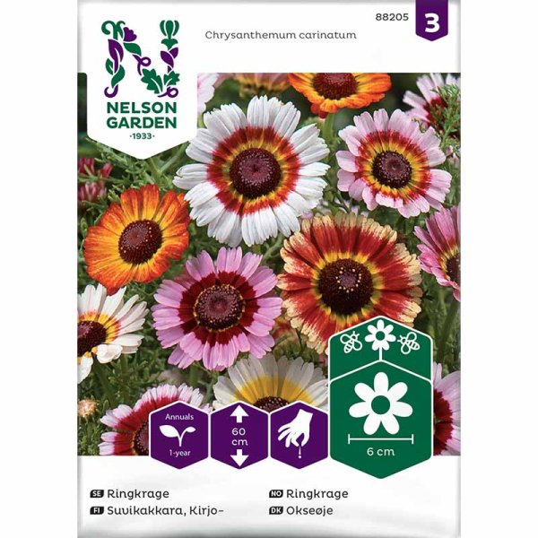 Trikolore-Margerite Mischung