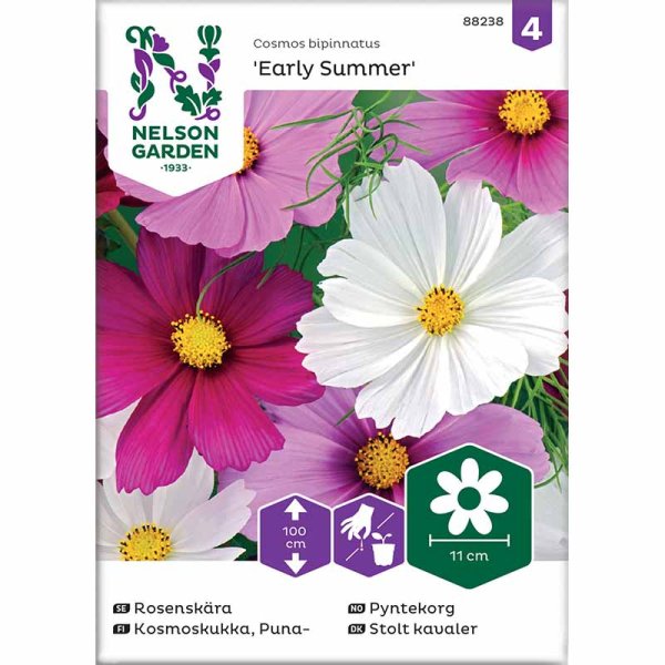 Kosmee 'Early Summer' mix