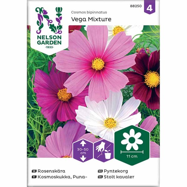 Kosmee 'Vega Mixture'