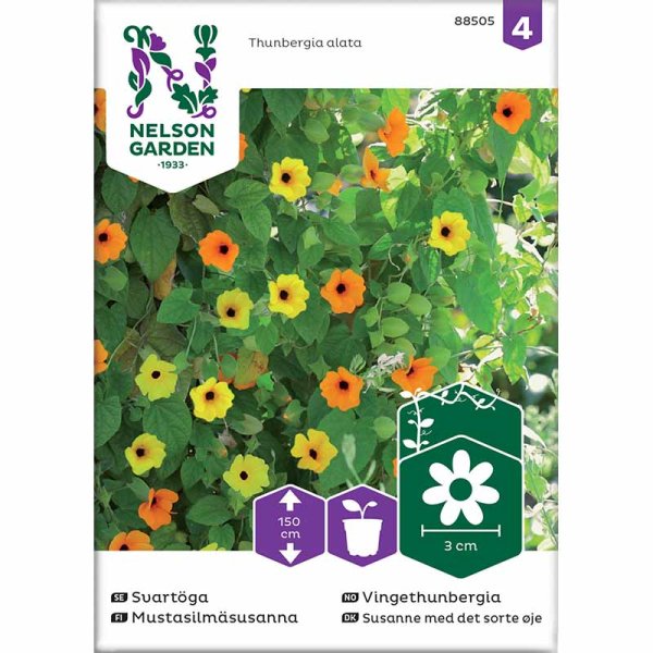 Schwarzäugige Susanne Mischung