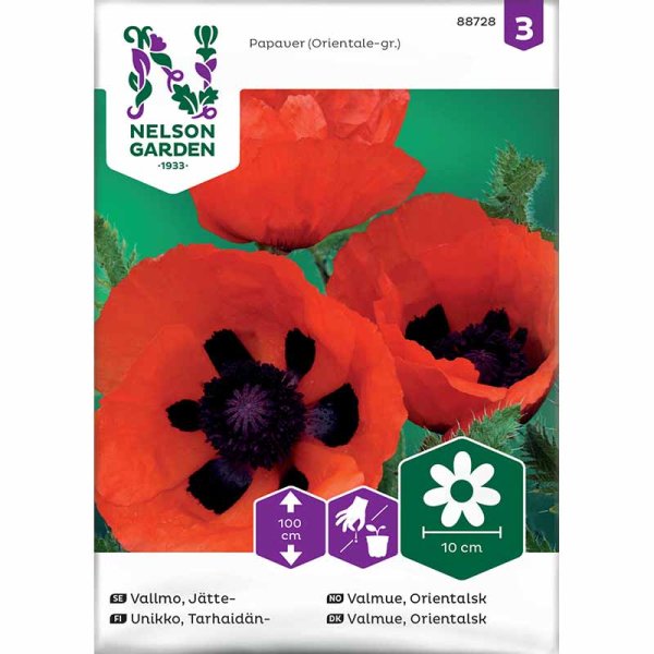 Orientalischer Mohn orangerot