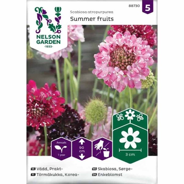 Sammetsskabiose 'Summer Fruits'