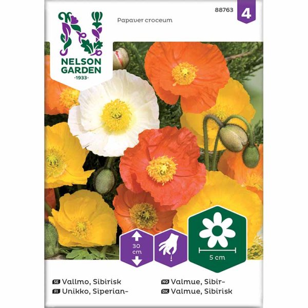 Sibirischer Mohn Mischfarben