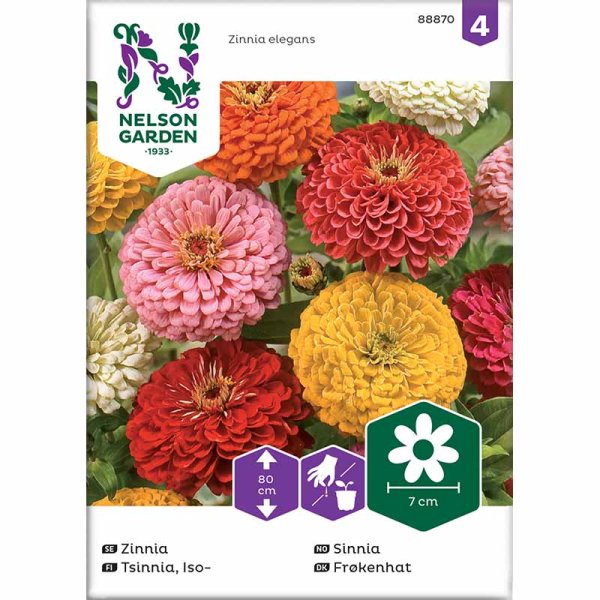 Hohe Zinnie Mischfarben